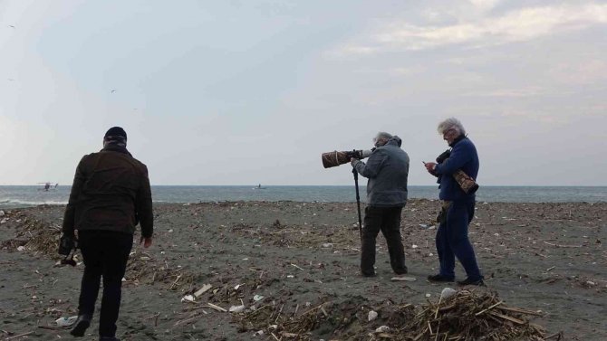 Herkes Fotoğrafını Çekmek İçin Koştu