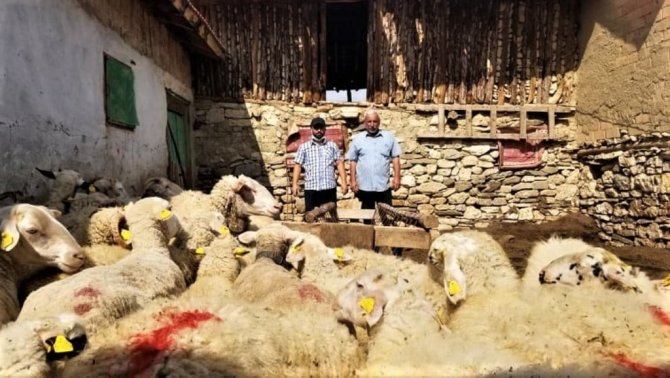 Kütahya’da 238 Orman Köylüsüne 12 Milyon 569 Bin Tl’lik Destek