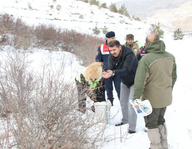 Vali Yaban Hayvanları İçin Doğaya Yem Bıraktı