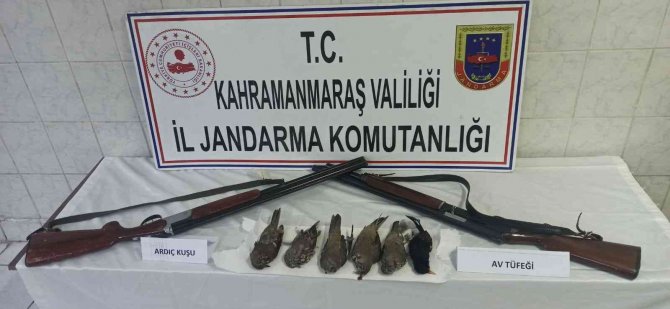 Avlanması Yasak Olan Ardıç Kuşunu Vuranlara Ceza Yağdı