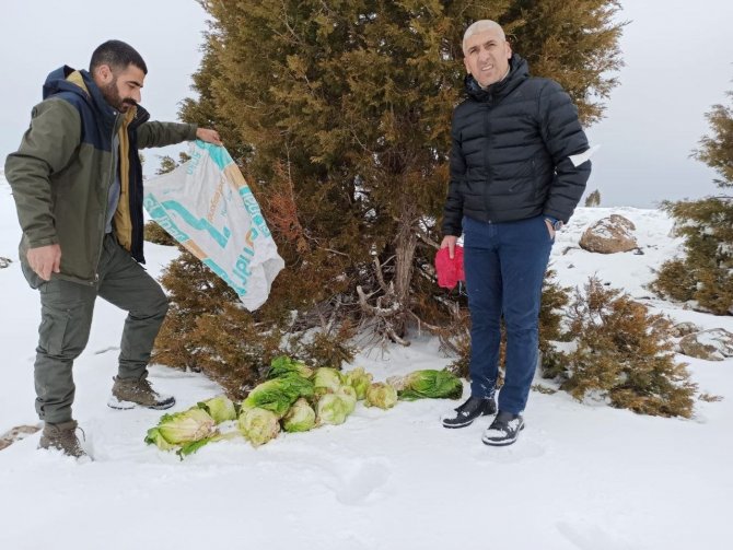 Bingöl’de Yaban Hayvanları İçin Doğaya Yem Bırakıldı