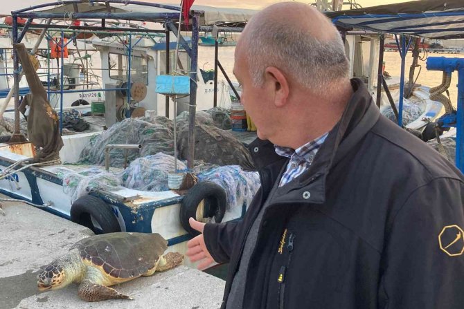Akdeniz’in Simgesi Bir Bir Ölüyor... İ̇ki Haftada İkinci Kez Bulundu