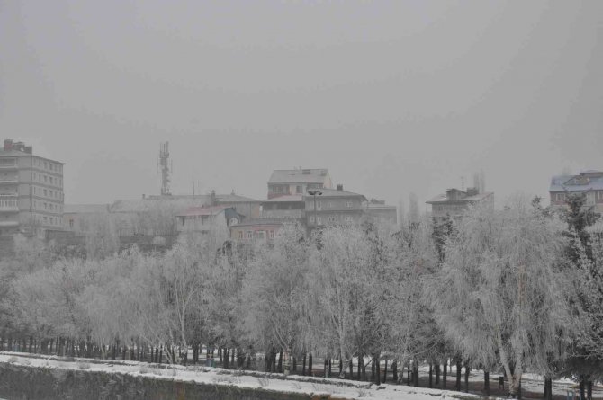 Kars’ta Ağaçlar Kırağı Tuttu
