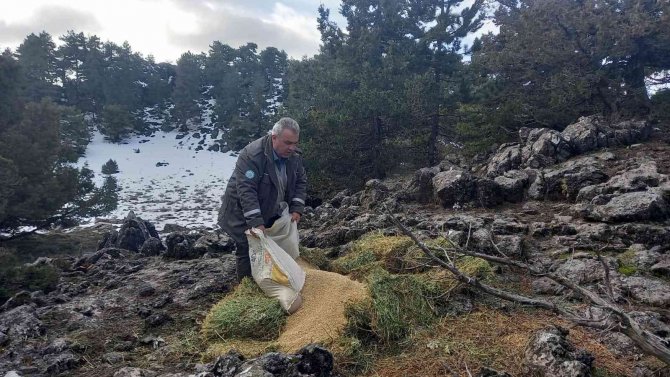 Ağır Kış Şartlarında Doğadaki Canlılar Unutulmadı