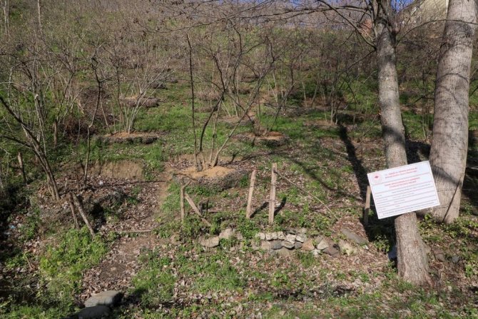 Fındık Bahçelerinde Cep Teras Uygulaması