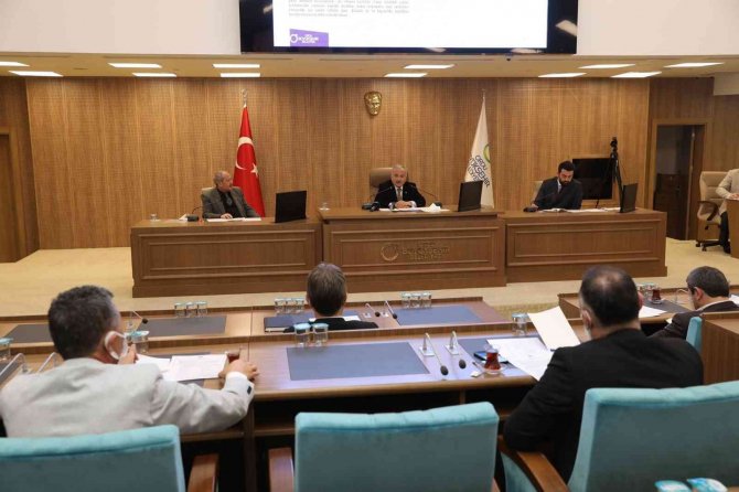 Ordu’da Sokak Hayvanları İçin Yeni Kararlar Alındı