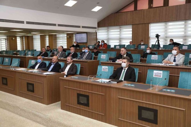 Ordu’da Sokak Hayvanları İçin Yeni Kararlar Alındı