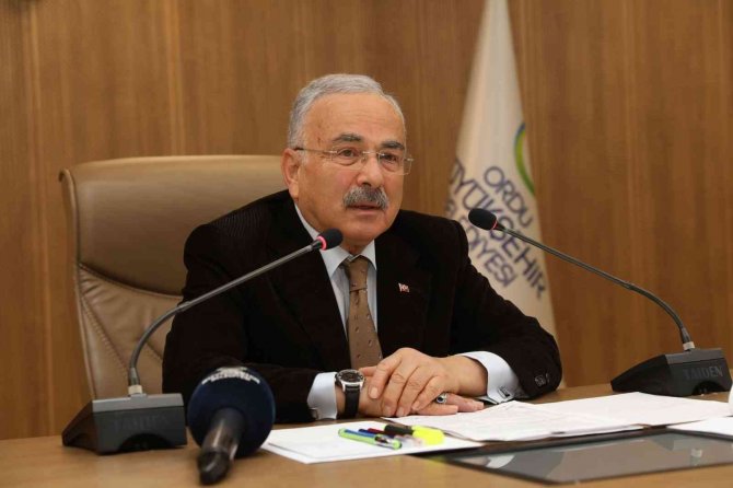 Ordu’da Sokak Hayvanları İçin Yeni Kararlar Alındı