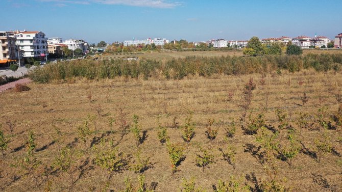 Türkiye’nin İlk “Meyve” Temalı Millet Bahçesi Yalova’da Yapılıyor