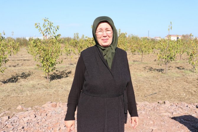Türkiye’nin İlk “Meyve” Temalı Millet Bahçesi Yalova’da Yapılıyor