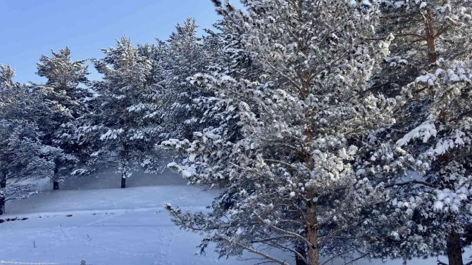 Ağrı’da Dondurucu Soğuklar Yerini Kar Yağışına Bıraktı