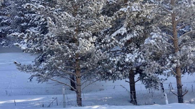 Ağrı’da Dondurucu Soğuklar Yerini Kar Yağışına Bıraktı