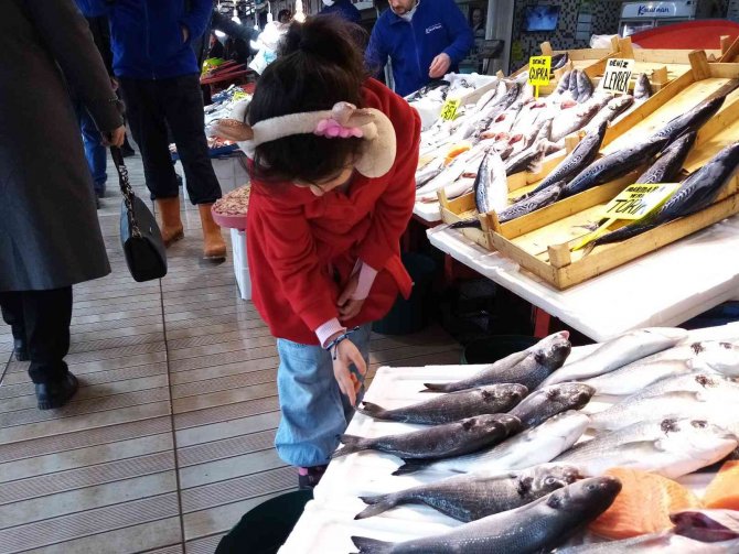 Balık Bol Olunca Vatandaş Balık Haline Koştu