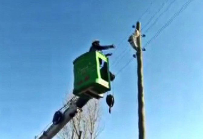 Bingöl’de 9 Metrelik Elektrik Direğinde Mahsur Kalan Kedi Kurtarıldı