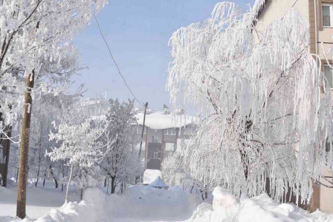 Bitlis’te 70 Köy Yolu Ulaşıma Kapandı