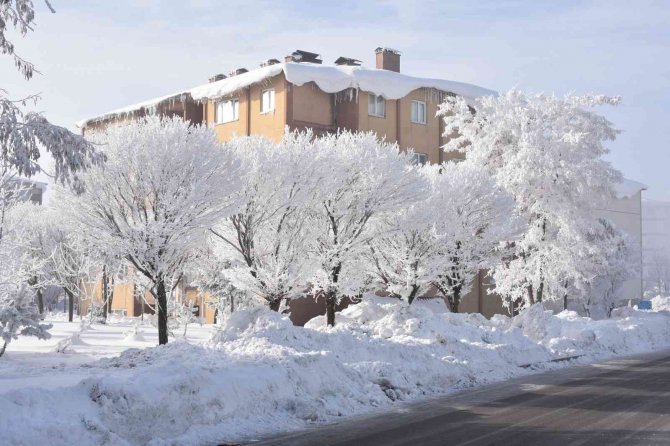 Bitlis’te 70 Köy Yolu Ulaşıma Kapandı