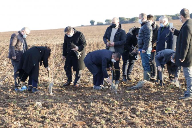 Troya Ören Yeri’ne Gelen Yerli Ve Yabancı Turistleri Lavanta Tarlaları Karşılayacak