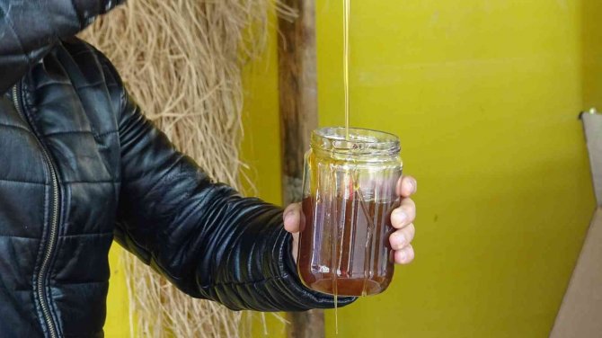 Kaya Balı Birçok Hastalığa Şifa