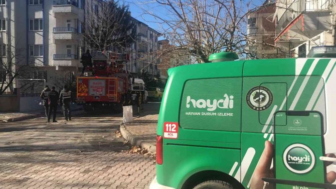 Elazığ’da Çatıda Mahsur Kalan Kedi İçin Haydi̇ Ve İtfaiye Ekipleri Seferber Oldu
