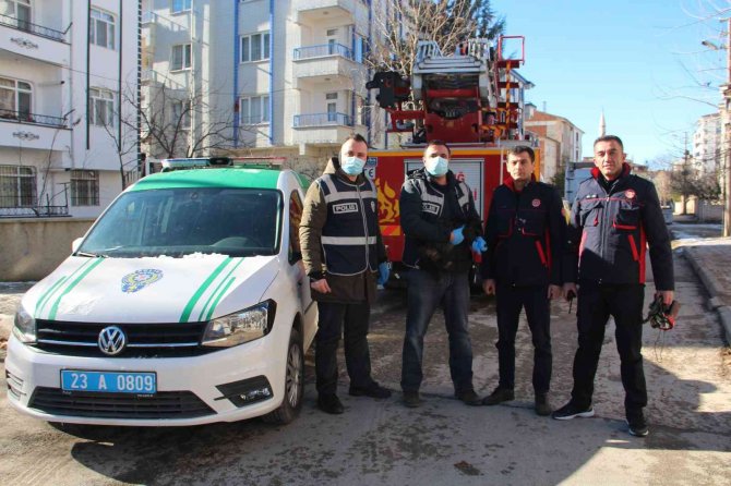 Elazığ’da Çatıda Mahsur Kalan Kedi İçin Haydi̇ Ve İtfaiye Ekipleri Seferber Oldu