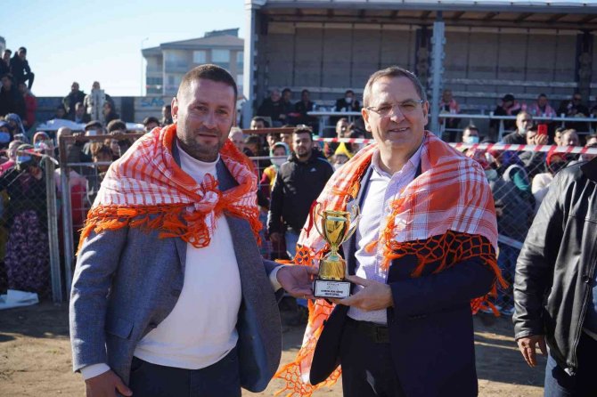 Ayvalık’ta Deve Güreşleri Heyecanı Şölene Dönüştü