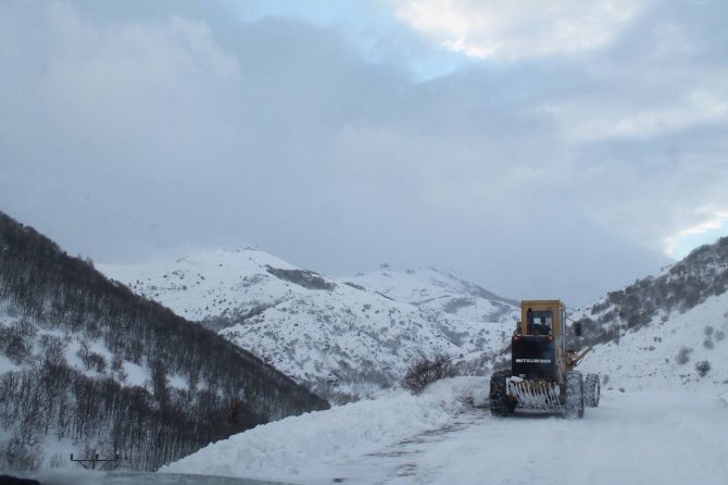 Kardan Kapanan Köy Yolları Tek Tek Açıldı