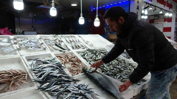 Karadeniz’de Yakalanan 8 Kiloluk Levrek 2 Bin Liradan Tezgahta