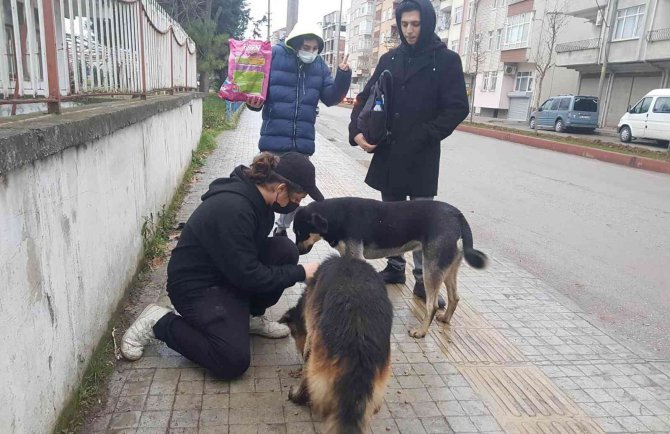 Öğrenciler Sokak Hayvanlarını Besledi