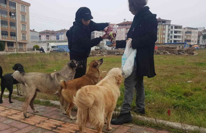 Öğrenciler Sokak Hayvanlarını Besledi
