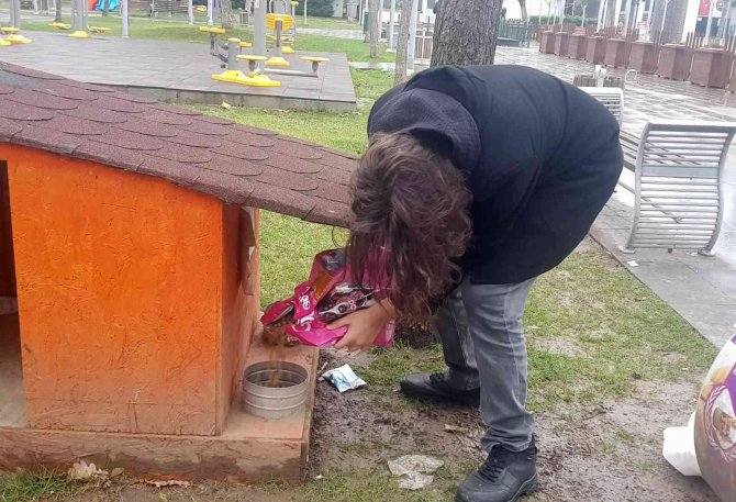 Öğrenciler Sokak Hayvanlarını Besledi