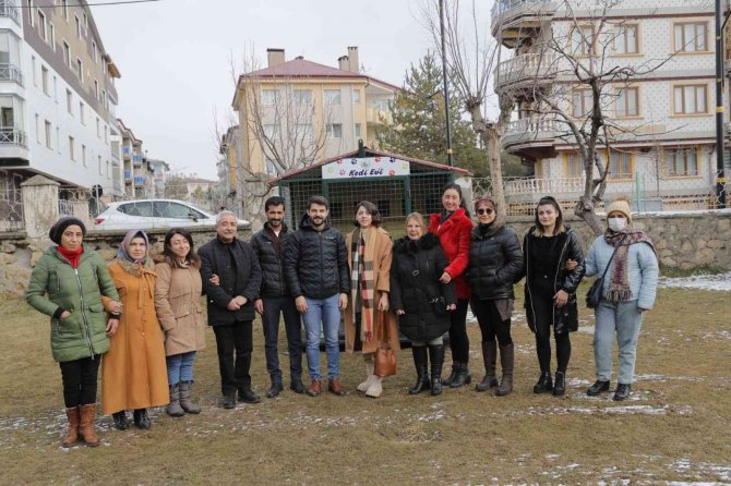 Kedileri Sivas’ın Ayazından Bu Kulübeler Koruyacak