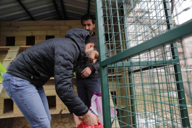 Kedileri Sivas’ın Ayazından Bu Kulübeler Koruyacak