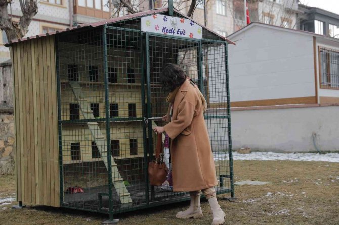 Kedileri Sivas’ın Ayazından Bu Kulübeler Koruyacak
