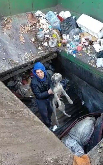 Çöp Ayrıştırma Makinesine Düşen Köpek Kurtarıldı
