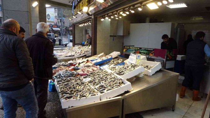 Gürcistan’dan Beklenen Hamsi De Gelmeyince Tezgâhlar İstavrite Kaldı