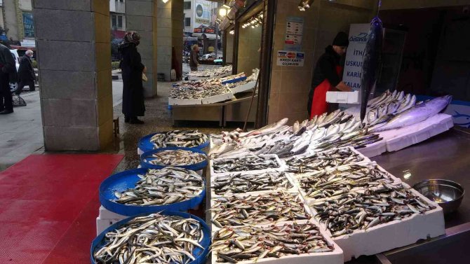 Gürcistan’dan Beklenen Hamsi De Gelmeyince Tezgâhlar İstavrite Kaldı