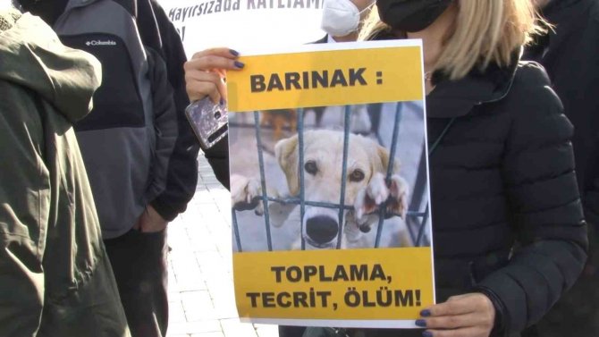 Ümraniye Belediyesi Önünde Hayvan Hakları Eylemi