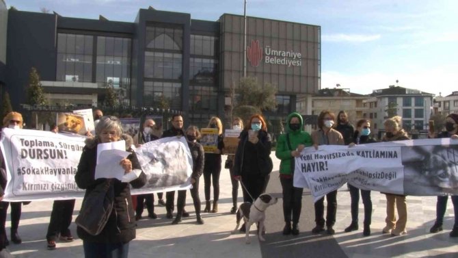 Ümraniye Belediyesi Önünde Hayvan Hakları Eylemi