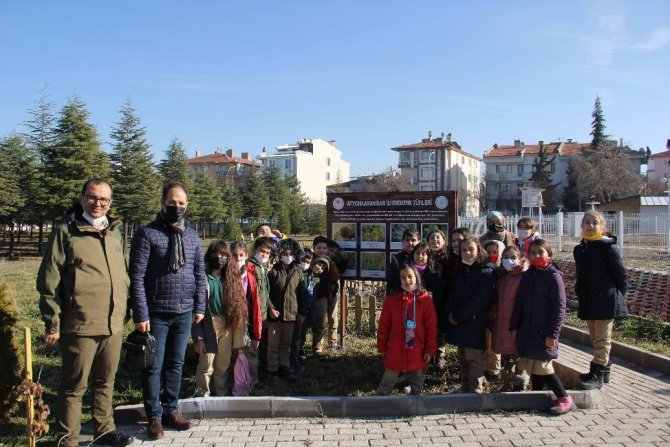 Öğrenciler Endemik Bitkileri Merkezinde Öğrendi