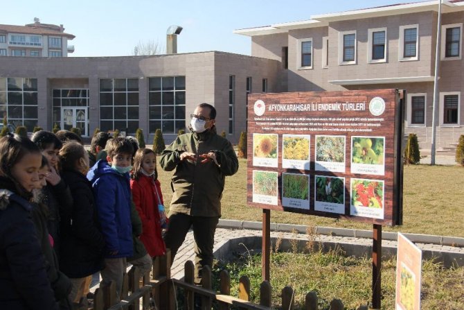 Öğrenciler Endemik Bitkileri Merkezinde Öğrendi