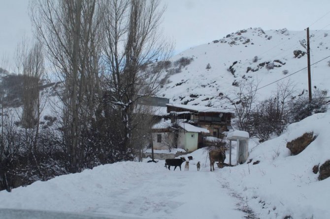 Bayburt’ta Kar, Tipide Araçlarıyla Mahsur Kalan Vatandaşlar Kurtarıldı
