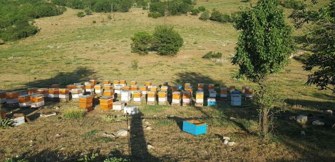 Bingöl’de Üreticilere 3 Milyon Lira Destek Verildi