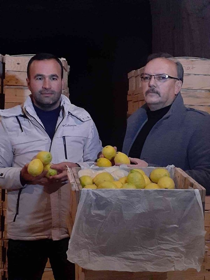 Kapadokya, Akdeniz Bölgesinde Yetiştirilen Limona ’Yataklık’ Ediyor