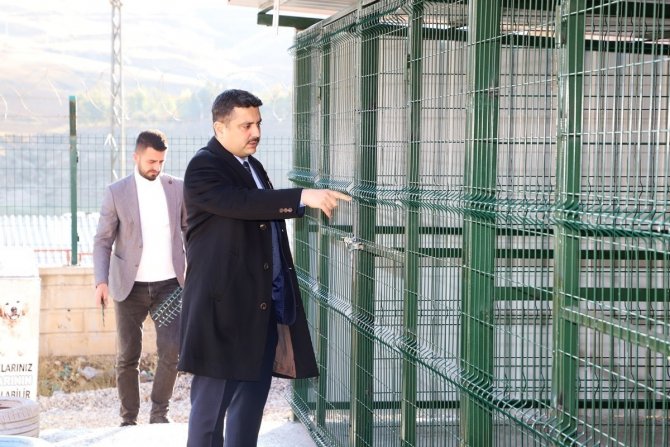 Cizre Belediyesinden Sahipsiz Hayvanlar İçin Geçici Bakımevi