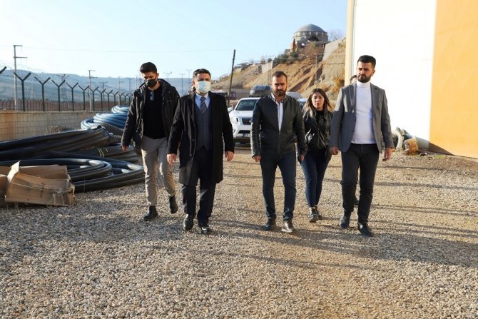 Cizre Belediyesinden Sahipsiz Hayvanlar İçin Geçici Bakımevi