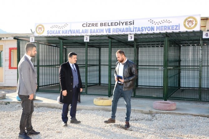 Cizre Belediyesinden Sahipsiz Hayvanlar İçin Geçici Bakımevi