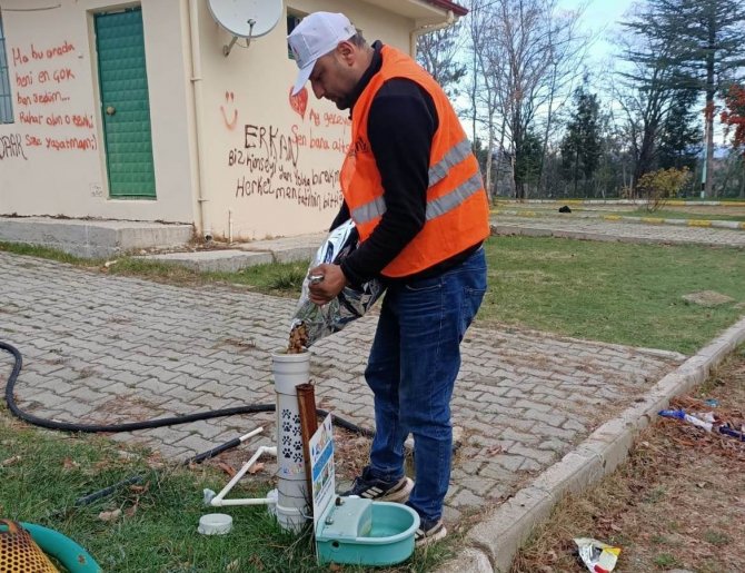 Gediz’de Sokak Hayvanları Unutulmadı
