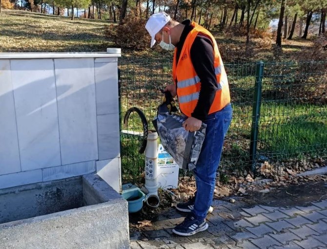 Gediz’de Sokak Hayvanları Unutulmadı