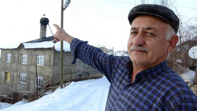 4 Yıldır Göç Etmeyen Leylek Köyün Maskotu Oldu