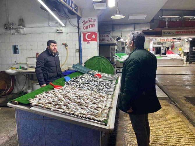 İ̇stavrit Yoğunluğu Balıkçıların Yüzünü Güldürdü
